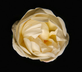 Similar image 10495353