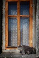 Similar image 10495352