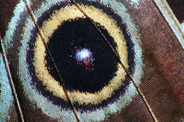 Similar image 10495354