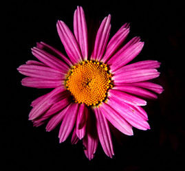 Similar image 10495359