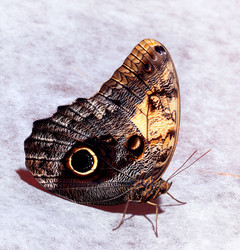 Similar image 10495358