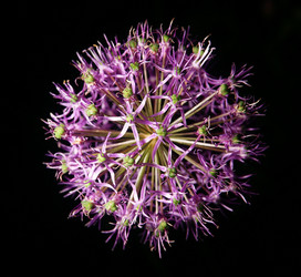 Similar image 10495361