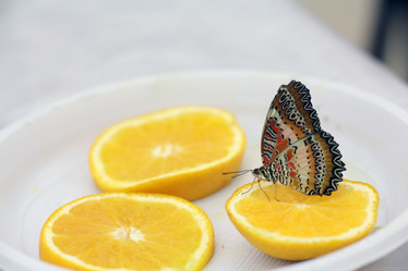 Similar image 10495362