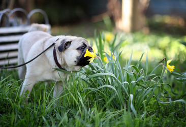 Similar image 10495365