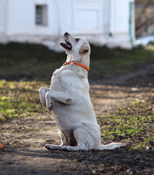 Similar image 10495367