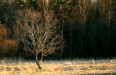 Similar image 10495372