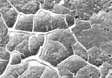 Similar image 10495389