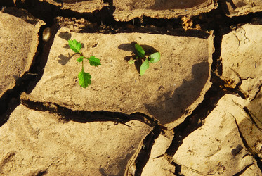 Similar image 10495391