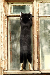 Similar image 10495394