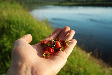 Similar image 10495397