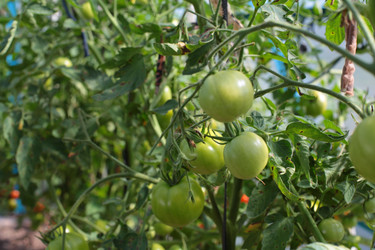 Similar image 10495398