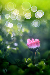 Similar image 10495401