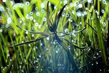 Similar image 10495402