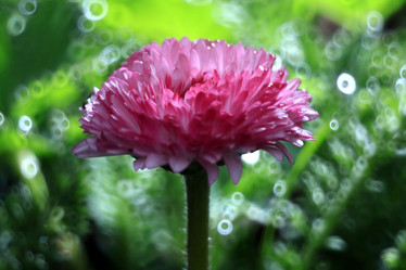 Similar image 10495403