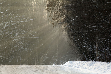 Similar image 10495408