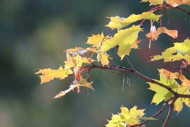 Similar image 10495407