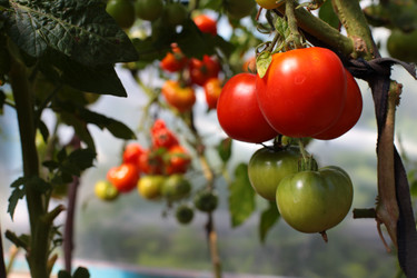 Similar image 10495412