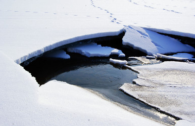 Similar image 10495425