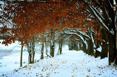 Similar image 10495427