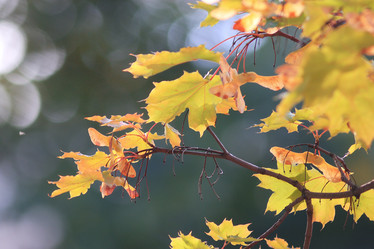 Similar image 10495428