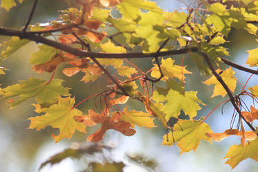 Similar image 10495431