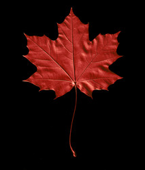 Similar image 10495440