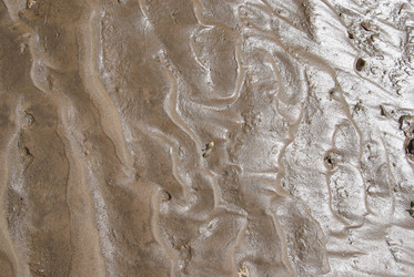 Similar image 10495441