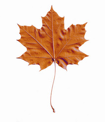 Similar image 10495442