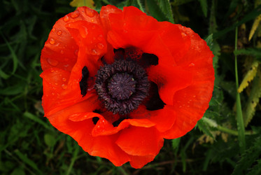 Similar image 10495443