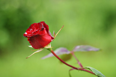 Similar image 10495444