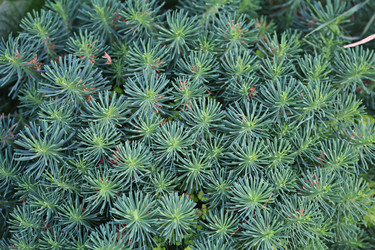 Similar image 10495447