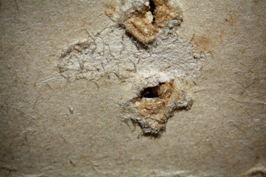 Similar image 10495452