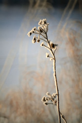 Similar image 10495458