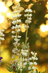 Similar image 10495460