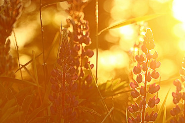 Similar image 10495462