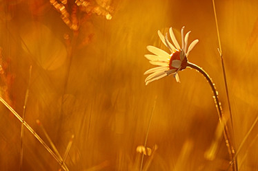 Similar image 10495466