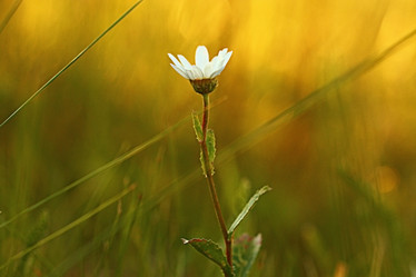 Similar image 10495468