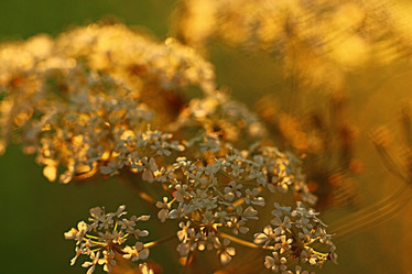 Similar image 10495471