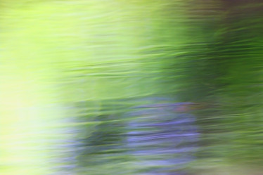 Similar image 10495477