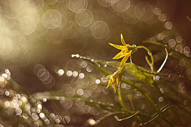 Similar image 10495480