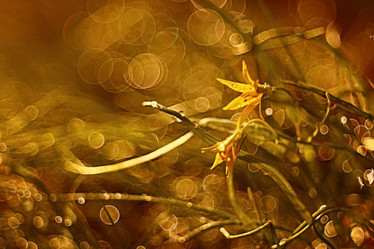 Similar image 10495481