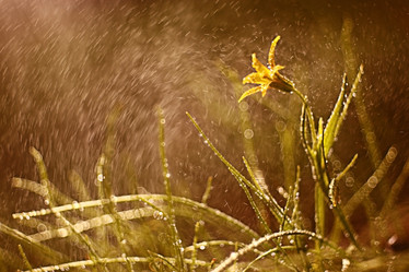 Similar image 10495482