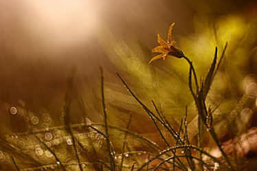 Similar image 10495483