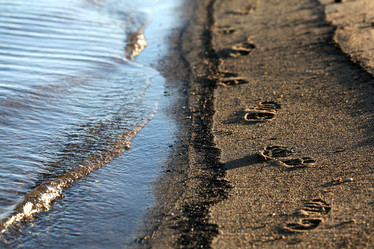 Similar image 10495487