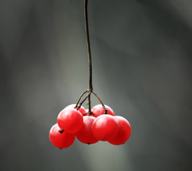 Similar image 10495491