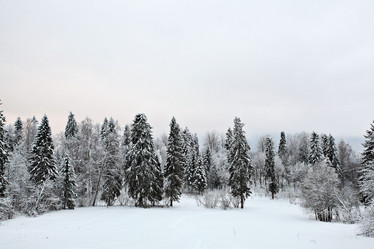 Similar image 10495492