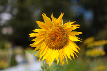 Similar image 10495496