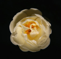 Similar image 10495497