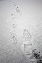 Similar image 10495499