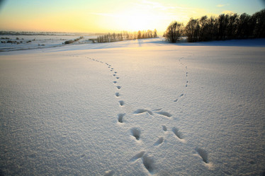 Similar image 10495500